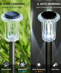 Solar Pathway Lights 10 Pack Outdoor Waterproof LED Stainless Steel Stakes For Garden Lawn Driveway Walkway Path 6000K Cold White Dope Crystal Clear Lamps Bright Landscape Lighting showing daytime charging and night illumination.