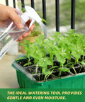 Hand using spray bottle on plants in 5 Pack Seed Starter Trays With Humidity Domes And Base, Germination Kit For Vegetables, Flowers, And Bonsai