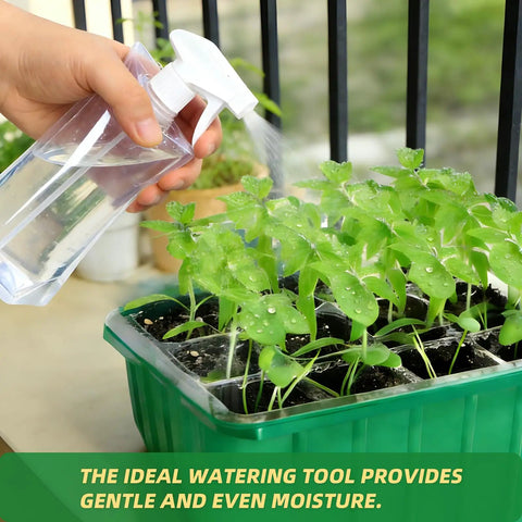 Hand using spray bottle on plants in 5 Pack Seed Starter Trays With Humidity Domes And Base, Germination Kit For Vegetables, Flowers, And Bonsai