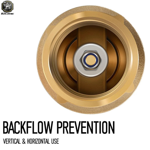 1-inch brass check valve with backflow preventer, interior view with FNPT ports