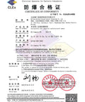 DORLAND EX Camera 03 explosion-proof industrial camera certification document.