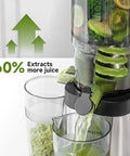 AMZCHEF Cold Press Juicer With 5.4 Inch Slow Masticating Wide Feed Chute, juices leafy greens and fruits efficiently.