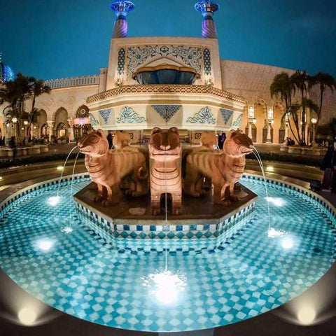 Elaborate fountain with lion statues and illuminated water streams at night.