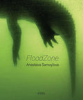 Cover of FloodZone A Gritty Photo Book On Florida’s Rising Seas, Hurricane Threats, And Coastal Life In Miami by Anastasia Samoylova