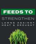 Southern Triple Action Lawn Care Kills Weeds Feeds Turf Prevents Fire Ants And Fights Pests For Up To Six Months graphic text