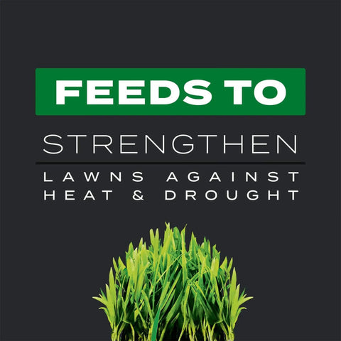 Southern Triple Action Lawn Care Kills Weeds Feeds Turf Prevents Fire Ants And Fights Pests For Up To Six Months graphic text