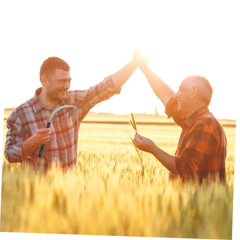 Two people high-fiving in a wheat field, one holding a tool from the Five Piece Rustproof Garden Sickle Set For Weeding And Harvesting.