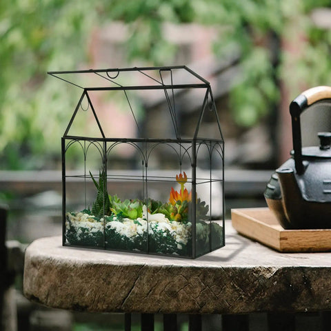 Large Tall Glass Terrarium With Lid For Indoor Plants Dope Desktop Greenhouse Enclosure For Orchids Succulents And Cacti Tall Tabletop Display In Black Frame 8.7 By 5.9 By 10.6 Inches Easy Lift Lid