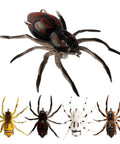 Weedless Topwater Spider Lure With Soft Hollow Body Walking Bait 4 Color Mix 4 Pack, black and red spider lure