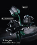 Dope Black Rose Bouquet Building Set For Adults Gothic Vintage Flower Kit To Craft A Realistic Dark Rose Centerpiece Perfect Valentines Gift For Her Girlfriend Mom Wife Home Office Decor, 3-stage black rose brick model with green stems
