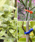 Silicone Magnetic Cable Ties Reusable Phone Cord Organizer Magnetic Twist Ties on plant branches for support.