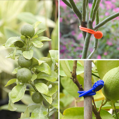 Silicone Magnetic Cable Ties Reusable Phone Cord Organizer Magnetic Twist Ties on plant branches for support.