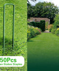 Heavy Duty Green Landscape Staples 50 Pack 6 Inch Garden Stakes For Turf And Ground Fabric 11 Gauge Galvanized Lawn Pins Ideal For Weed Barrier Sod Fences Irrigation Tubing And Outdoor DIY Projects