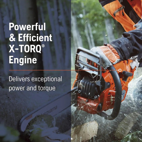 Worker using 555 Gas Chainsaw With 24 Inch Bar 60cc 4.16 HP X Torq Engine And X Cut Chain in forest