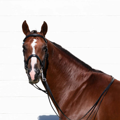 Double Bridle With Reins In Black For Warmbloods, Show Ring Ready, Traditional Style With Raised Padded Cavesson Noseband
