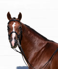 Double Bridle With Reins In Black For Warmbloods, Show Ring Ready, Traditional Style With Raised Padded Cavesson Noseband