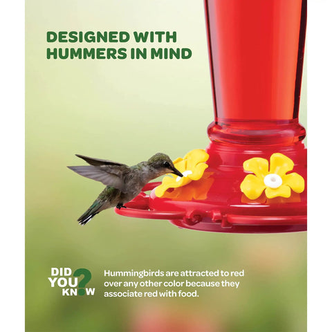 Set Of 2 10 Ounce Hummingbird Feeders With Built In Ant Guard, Wide Mouth For Easy Filling, Circular Perch With Multiple Feeding Ports, Outdoor Plastic Design For Easy Cleaning And Backyard Nectar Viewing, close-up of red feeder with hummingbird feeding.