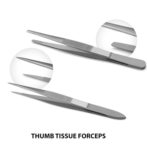 Thumb tissue forceps from the 18 Piece Dissection Kit With Carrying Case Pro Grade Stainless Steel Tools For Students, Teachers And Pros To Practice Techniques Dissect Anatomy Safely And Effectively.