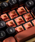 Rosewood Mechanical Keyboard Switches 5 Pin 40gf Linear Pre Lubed Thocky Sound 4mm Travel For Gaming Keyboards installed view