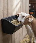 Premium 5 Qt Hanging Goat Feeders And Mineral Troughs 6 Pack Fence Mount livestock bins with goats eating from it.