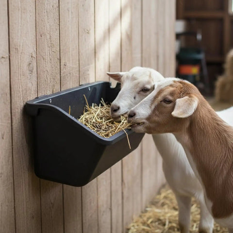 Premium 5 Qt Hanging Goat Feeders And Mineral Troughs 6 Pack Fence Mount livestock bins with goats eating from it.