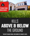 Long Lasting Lawn Insect Killer Granules Kills Ants Spiders Ticks Fleas And Grubs Quick Acting Bug Barrier Treats Up To 16500 Sq Ft With A 10 Lb Bag Providing Months Of Protection, close-up of grass with a house in background