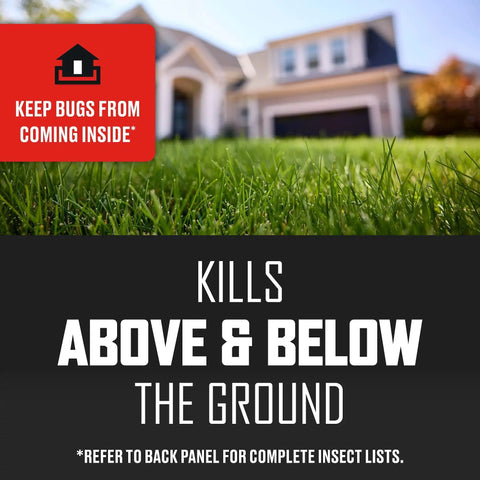 Long Lasting Lawn Insect Killer Granules Kills Ants Spiders Ticks Fleas And Grubs Quick Acting Bug Barrier Treats Up To 16500 Sq Ft With A 10 Lb Bag Providing Months Of Protection, close-up of grass with a house in background