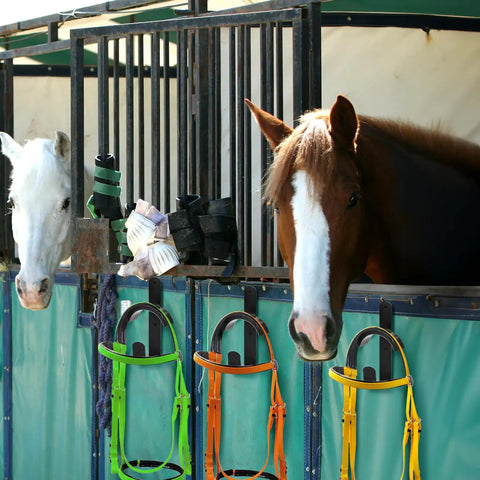 Two horses in stall with Four Pack Horse Bridle Rack Hooks, Heavy Duty Metal Wall Mount Bridle Holder Bracket With Screws visible