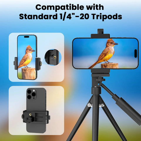 Universal Phone Mount Adapter For Spotting Scopes And Telescopes With 3 Axis Precision Alignment And Z Axis Fine Tuning, mounted on tripod with bird on screen.