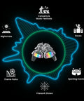 Smaller Ears Rainbow Earplugs For Concerts And Festivals, High Fidelity Reusable Hearing Protection For Small Ear Canals, surrounded by icons of events.