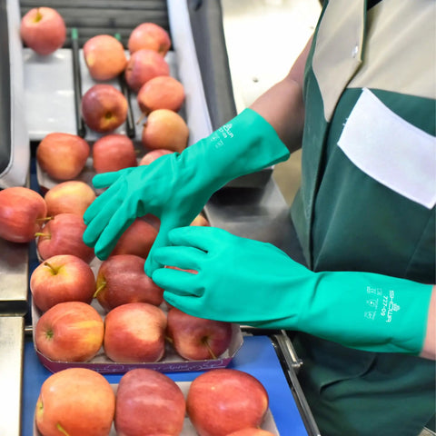 Heavy Duty Nitrile Glove Set, 15 Mil Chemical-Resistant, 13 Inch Gauntlet With Bisque Grip worn while handling apples