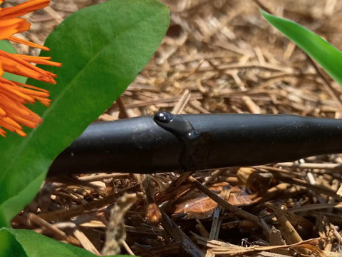 Drip Irrigation Tubing With Built In Emitters One Quarter Inch 100 Ft Roll Six Inch Emitter Spacing Fittings Included Inline Emitters