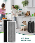 Compatible With Hamilton Beach Air Purifier 04383 04384 04385 Filter Replacement Kit with H13 True HEPA filter and dog in kitchen