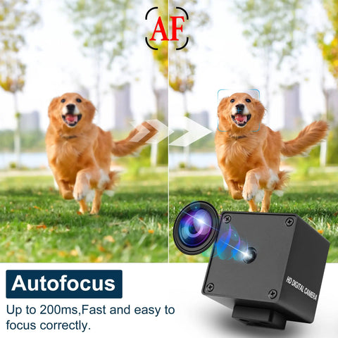 Ultra HD 48MP USB Camera With 8000x6000 Resolution Auto Focus In 200ms Plug And Play UVC Industrial Camera For 3D Printers