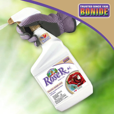 Gloved hand holding Captain Jack's Rose Rx 4 In 1 Insect And Disease Control Ready To Use Spray With Neem Oil for organic gardening