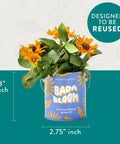 Colorful Grow Kit Set For Beginners Pack Of Four Seed Starter Kit With Organic Strawberry Tomato Sunflower And Cactus Seeds Gift For Plant Lovers in blue metal can with sunflowers