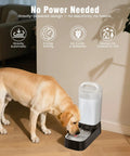 Dog drinking from 2.4 Gallon Stainless Steel Gravity Dog Water Dispenser With Ergonomic Handle Anti Splash Drinking Bowl No Filter