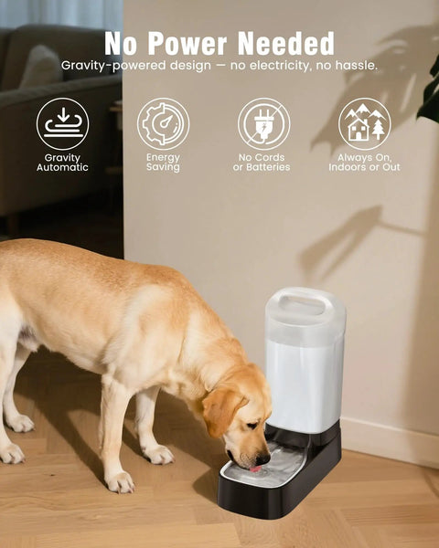Dog drinking from 2.4 Gallon Stainless Steel Gravity Dog Water Dispenser With Ergonomic Handle Anti Splash Drinking Bowl No Filter