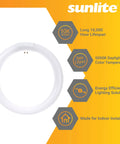 FCL30 50K T9 Round Fluorescent Circline Lamp 30W 1800 Lumens Daylight 5000K Long Life 10000 Hour RoHS Compliant G10Q 4 Pin Base Ceiling Light