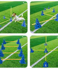 Dog Agility Training Equipment Obstacle Course With Adjustable Ladder Durable Plastic Cones And Wooden Rungs Colorful Blue