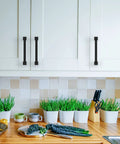 10 Pack 5-Inch Matte Black Cabinet Pulls for Cabinets and Cupboards installed on white kitchen cabinets
