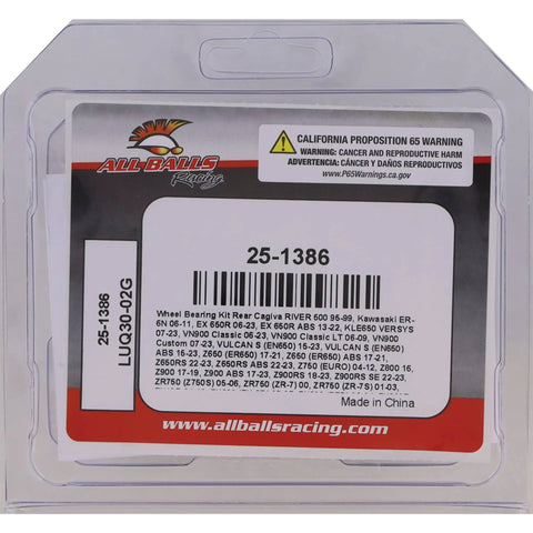 Heavy Duty Wheel Bearing Kit Replacement For UTVs, ATVs, And Dirt Bikes With ABEC3 Precision TC Double Bearings in packaging