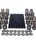 Badass LS Series Chevy V8 Valvetrain Upgrade Kit with steel pushrods, coil springs, and titanium retainers for high RPM performance.