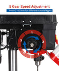 5 gear speed adjustment on Ideally House 8 Inch Benchtop Drill Press With Powerful 2.5A Motor for precise drilling.