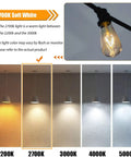 Comparison of light temperatures from 2200K to 5000K with 2700K highlighted, showcasing 12 Pack 2W LED Edison Bulbs 250LM Not Dimmable, 2700K Soft Warm White, ST19 Filament Bulbs with E26 Base, 120V, 25W Equivalent, Clear Glass, Retro Vibe Lighting for Chandeliers and Decorative Fixtures