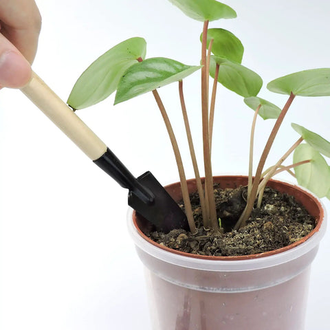 Using shovel from Mini Garden Tools Set 3 Piece Rake Trowel Shovel For Seedlings Bonsai Succulents And Terrariums Compact with plant