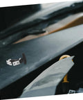 Versatile Flexible Rubber Hood Latch T Handle Hasp for vehicle hoods, engine covers, cargo boxes, stainless steel