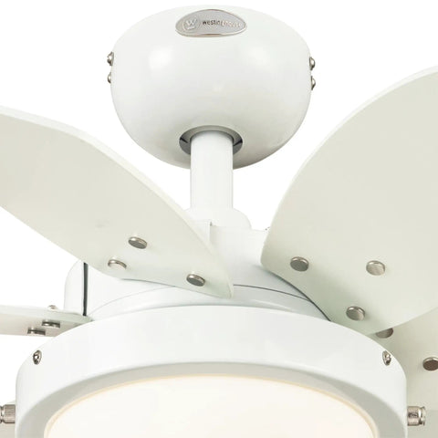 Close-up of Quince 24 Inch Indoor Ceiling Fan with Light Dope White Finish featuring blades and frosted glass