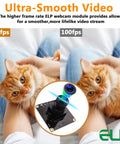 Cat with embedded Dope 1080P USB2.0 Camera Module With 100 Degree Wide Angle capturing smooth video at 260fps 100fps.