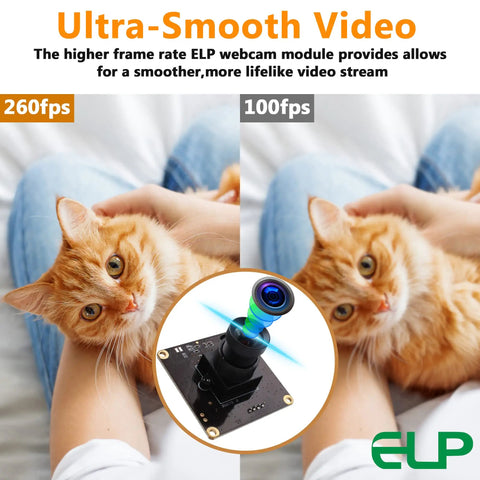 Cat with embedded Dope 1080P USB2.0 Camera Module With 100 Degree Wide Angle capturing smooth video at 260fps 100fps.